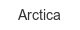 arctica