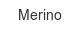 merino