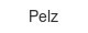 pelz