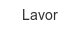 lavor