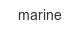marine