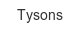 tysons