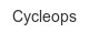 cycleops