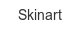 skinart