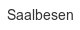 saalbesen