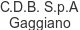 c-d-b-s-p-a-gaggiano