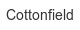 cottonfield
