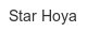 star-hoya