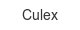culex