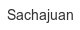sachajuan