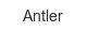 antler