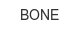 bone