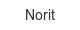norit