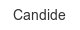 candide