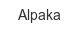 alpaka