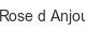 rose-d-anjou