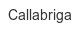 callabriga