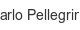 carlo-pellegrino