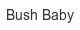 bush-baby
