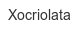 xocriolata