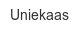 uniekaas