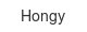 hongy