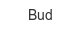 bud