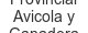 provincial-avicola-y-ganadera