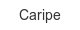 caripe