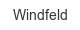 windfeld