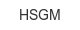 hsgm