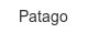 Patago patago