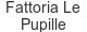 fattoria-le-pupille