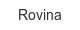 rovina