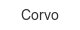 corvo