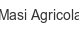 masi-agricola