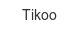 tikoo