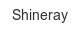 shineray