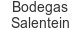 bodegas-salentein