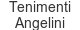 tenimenti-angelini
