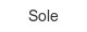 sole