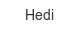 hedi