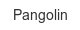 pangolin