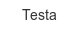 testa
