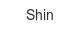 shin