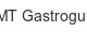 amt-gastroguss