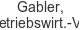 gabler-betriebswirt-vlg