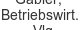 gabler-betriebswirt-vlg