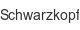 schwarzkopf