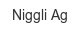 niggli-ag